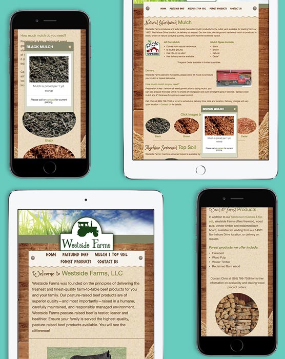 ipad and iphone showing screenshots of website